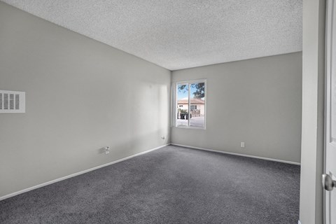 the living room of an apartment with carpet and a window